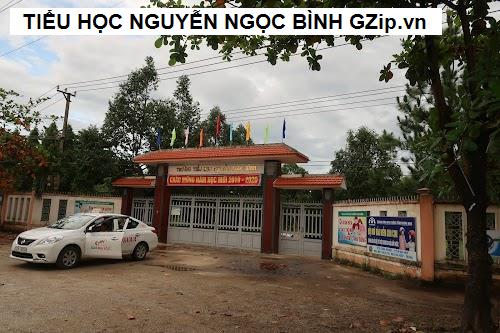 Trường Tiểu học Nguyễn Ngọc Bình